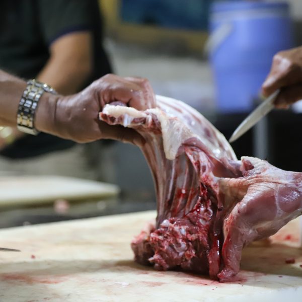 پرداخت نذر قربانی